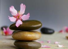 Holistic Therapy Day