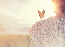 Serendipity Day
