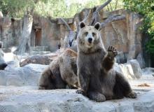 Zoo Awareness Day