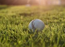 Spalding Baseball Day
