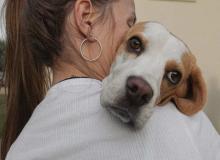 Hug Your Hound Day