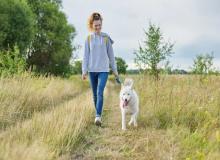 Walk Your Dog Day