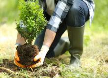 World Planting Day