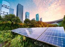 Sustainability Day