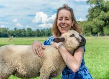 Hug a Sheep Day