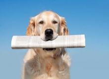 International Newspaper Carrier Day