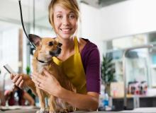 Pet Groomer Appreciation Day