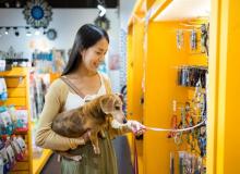 Shop with Your Dog Day
