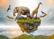 World Wildlife Conservation Day