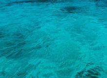 World Water Day