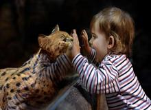 Kid at the zoo