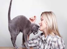 Animal Advocacy Day