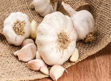 Garlic Day