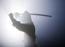 Ninja Day