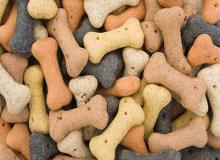 Dog Biscuit Day