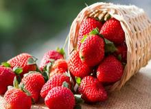 Strawberry Day
