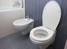 Thomas Crapper Day