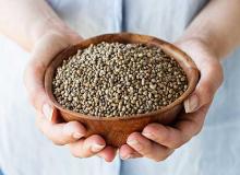 Seed Swap Day