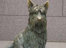 Dog Memorial
