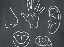 Celebration Of The Senses Day