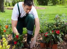 Plant a Flower Day