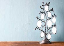 family tree