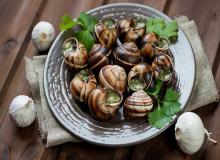 Escargot