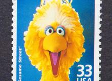 Big bird