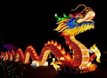 Appreciate a Dragon Day