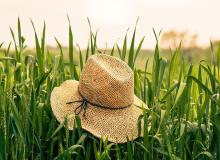 Hat Day