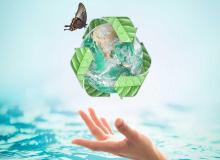 World Environment Day