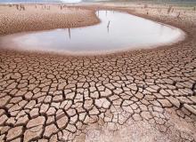 World Day to Combat Desertification and Drought
