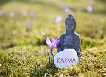 Tangible Karma Day