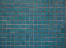 Tile Day
