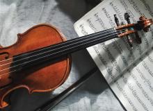 Violin Day