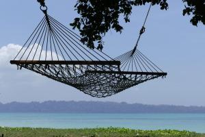 Hammock Day