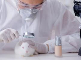 World Day For Animals In Laboratories