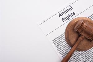 National Animal Rights Day (NARD)