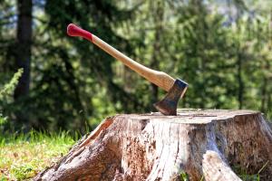 Paul Bunyan Day