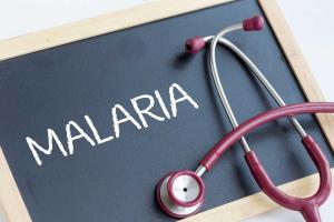 World Malaria Day