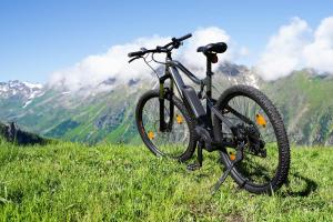 E-Bike Day