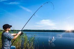Fishing Day