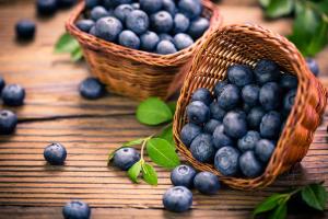 Blueberry Day