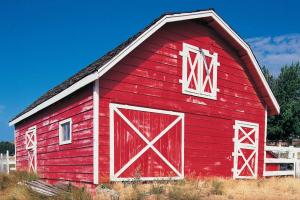 Barn Day