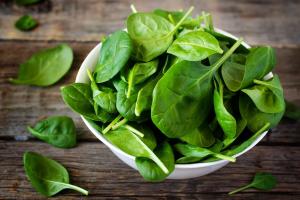 Fresh Spinach Day