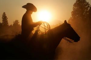 Day of the Cowboy 