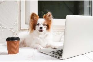 Work Like a Dog Day