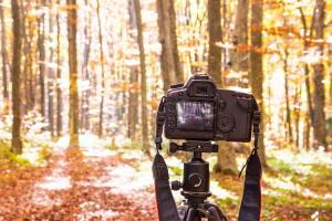 World Photography Day