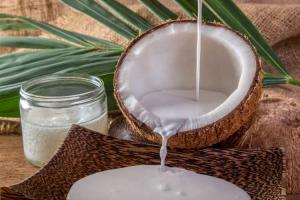 World Plant Milk Day