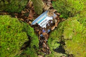 Geocaching Day